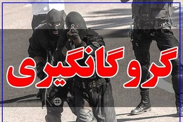 گروگان‌گیری جوان ۲۴ ساله/ آدم‌ربایان با ظاهر مامورنما، مسلح، جدی و مسلط به منزل‌مان آمدند