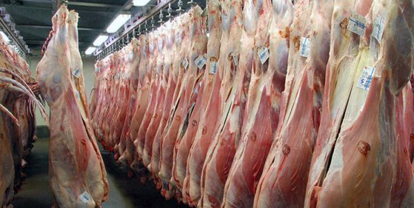 تاکنون تخلفی در مورد سلامت گوشت های قرمز وارداتی گزارش نشده است تاکنون تخلفی در مورد سلامت گوشت های قرمز وارداتی گزارش نشده است