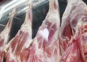 گره کور گرانی گوشت قرمز کجاست؟
