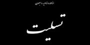 پیام تسلیت رییس کل بیمه مرکزی به مناسبت جان باختن جمعی از هموطنان در حوادث اخیر