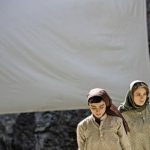 “جنایت بی‌دقت” در سه کشور