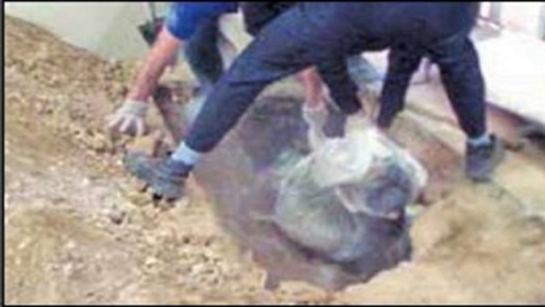 دفن برادر کف سالن پذیرایی