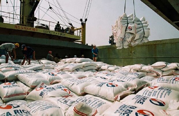 گمرک خواستار بازنگری در ممنوعیت فصلی واردات برنج شد/ واردات ۶۹ درصد کاهش یافته است