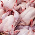 نامه مرغداران به خاوازی/ قیمت اصلاح نشود،تولید کاهش می‌یابد