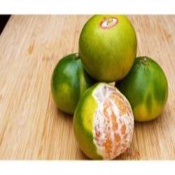 نارنگی های موجود در بازار رنگ آوری شده و مضر است/ وزارت جهاد برخورد کند