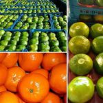 گرانفروشی میوه به سبک شرکت های بسته بندی