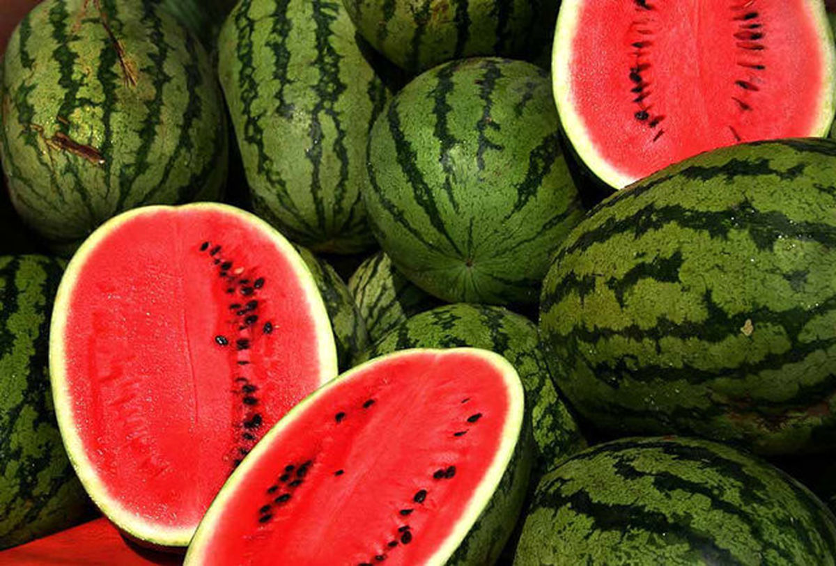 ۱۶۶ هزار تن هندوانه برای شب یلدا به بازار عرضه می شود
