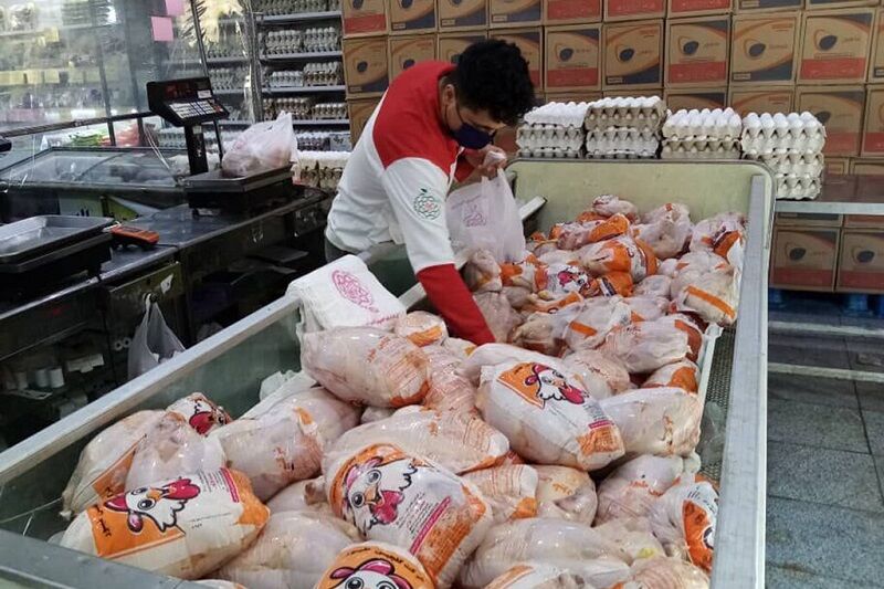 قیمت گوشت مرغ کماکان کمتر از ۶۰ هزار تومان