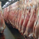 توزیع گوشت گوسفندی ۱۴۲ هزار تومانی بدون محدودیت در کشور