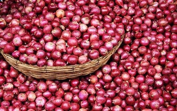 عوارض ۱۰۰ درصدی صادرات پیاز ابلاغ شد