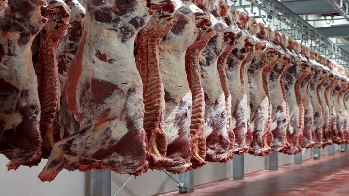 قیمت روز گوشت قرمز در اول بهمن ۱۴۰۱