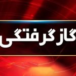 قاتل ماهک کوچولو و خانواده اش از آبگرمکن وارد خانه شان شد