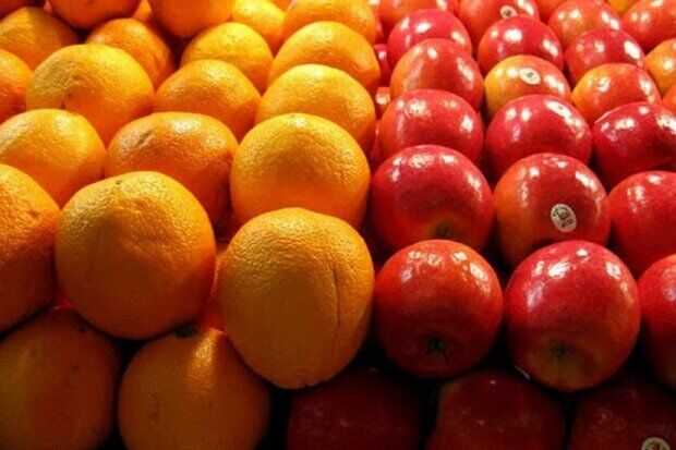 صادرات سیب درختی و پرتقال در اسفندماه امسال محدود شد