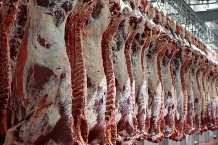 قیمت گوشت را به زیر ۳۰۰ هزار تومان می رسانیم / ضرورت تغییر عادات غذایی برای کاهش قیمت گوشت
