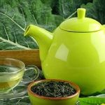 معجزه چای سبز؛ به جای آنتی بیوتیک چای بنوشید
