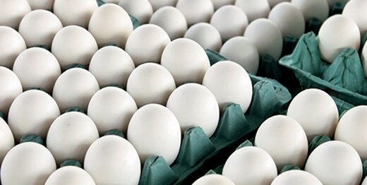 تخم ‌مرغ گران نشده/ قیمت‌های جدید هفته‌ آینده اعلام می‌شود
