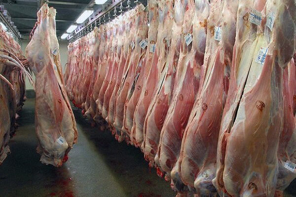 نیاز کشور به گوشت قرمز نصف شد/کاهش سرانه مصرف از ۱۲ به ۶ کیلوگرم