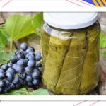 ۱۷ خاصیت بی‌نظیر برگ انگور برای سلامتی