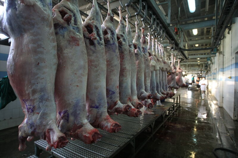 عرضه روزانه ۱۵۰ تن گوشت قرمز وارداتی در بازار