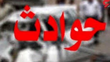 مرد عصبانی همسر وسواسی اش را پس از 37سال زندگی مشترک کشت و تکه تکه کرد