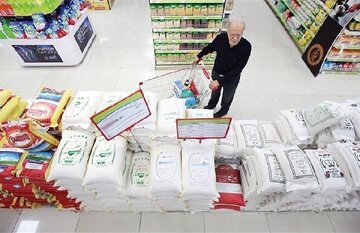جدیدترین برنج ایرانی و خارجی در بازار /  برنج ایرانی چقدر ارزان شد؟