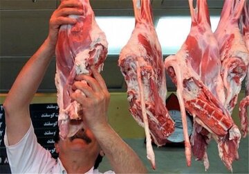 قیمت گوشت گوسفندی و گوساله ارزان شد | جدیدترین قیمت دام زنده و گوشت گوساله