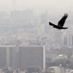 خطر ابتلا به این بیماری‌ با افزایش آلودگی هوا