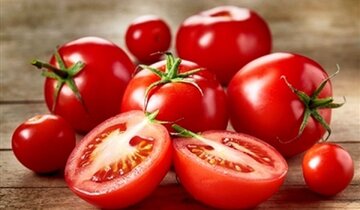 قیمت گوجه بیشتر می‌شود؟ / دلایل افزایش قیمت گوجه از زبان عضو هیات مدیره اتحادیه بارفروشان