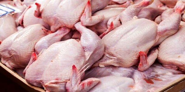 آرامش در بازار گوشت مرغ برقرار است / هر کیلو ۷۸ هزار تومان