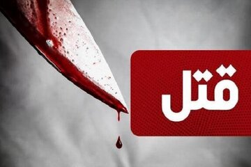 قتل عجیب پسر ۲۶ ساله سر جای پارک خودرو