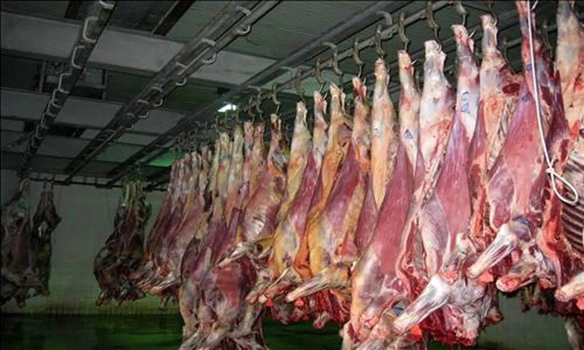 کاهش قیمت گوشت گوسفند از بهار سال آینده