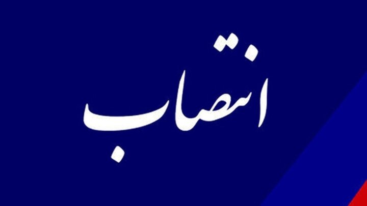 مدیرعامل «بیمه ایران» منصوب شد