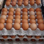 قیمت هر کیلو تخم مرغ پوسته قهوه‌ای ۵۰ هزار تومان اعلام شد
