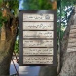نام‌گذاری کهن‌سال‌ترین درخت چنار تهران به نام یکی از مفاخر ایران