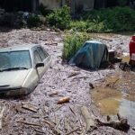 سیل اخیر موجب قربانی شدن 6 نفر و یک مفقود شد
