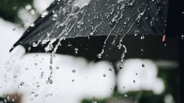 رگبار و رعد و برق در نوار شمالی کشور/ باد و گردو خاک در تهران