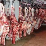 افزایش واردات گوشت تنظیم بازاری / ورود روزانه ۲۰۰ تن گوشت قرمز