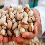 اروپا در زمینه پسته صادراتی ایران جنجال آفرینی می‌کنند/ تمامی محموله‌های پسته در مبدا فاقد آفلاتوکسین بوده‌اند