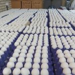 هر شانه تخم مرغ چند؟/ گرانفروشی را گزارش دهید