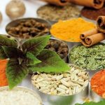 معاینه متخصصان طب سنتی و ۵۹ قلم داروی گیاهی تحت پوشش بیمه قرار دارد