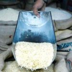 قیمت برنج به شدت گران شد/ قیمت انواع برنج ایرانی و هندی در بهمن ۱۴۰۳