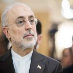 علی‌اکبر صالحی رئیس بنیاد ایران‌شناسی شد