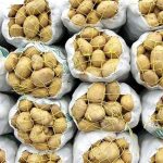 کاهش قیمت سیب‌زمینی با ورود محصولات بهاره