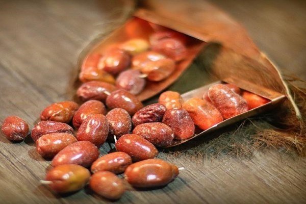میوهای که جای دارو را میگیرد؛ ۱۰ خاصیت شگفتانگیز سنجد میوهای که جای دارو را میگیرد؛ ۱۰ خاصیت شگفتانگیز سنجد