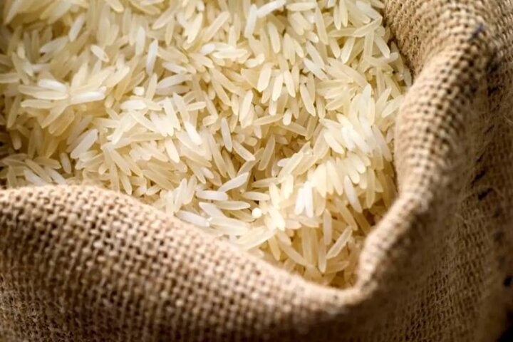 قیمت برنج در میادین تا ۳۰ درصد ارزانتر از بازار است قیمت برنج در میادین تا ۳۰ درصد ارزانتر از بازار است