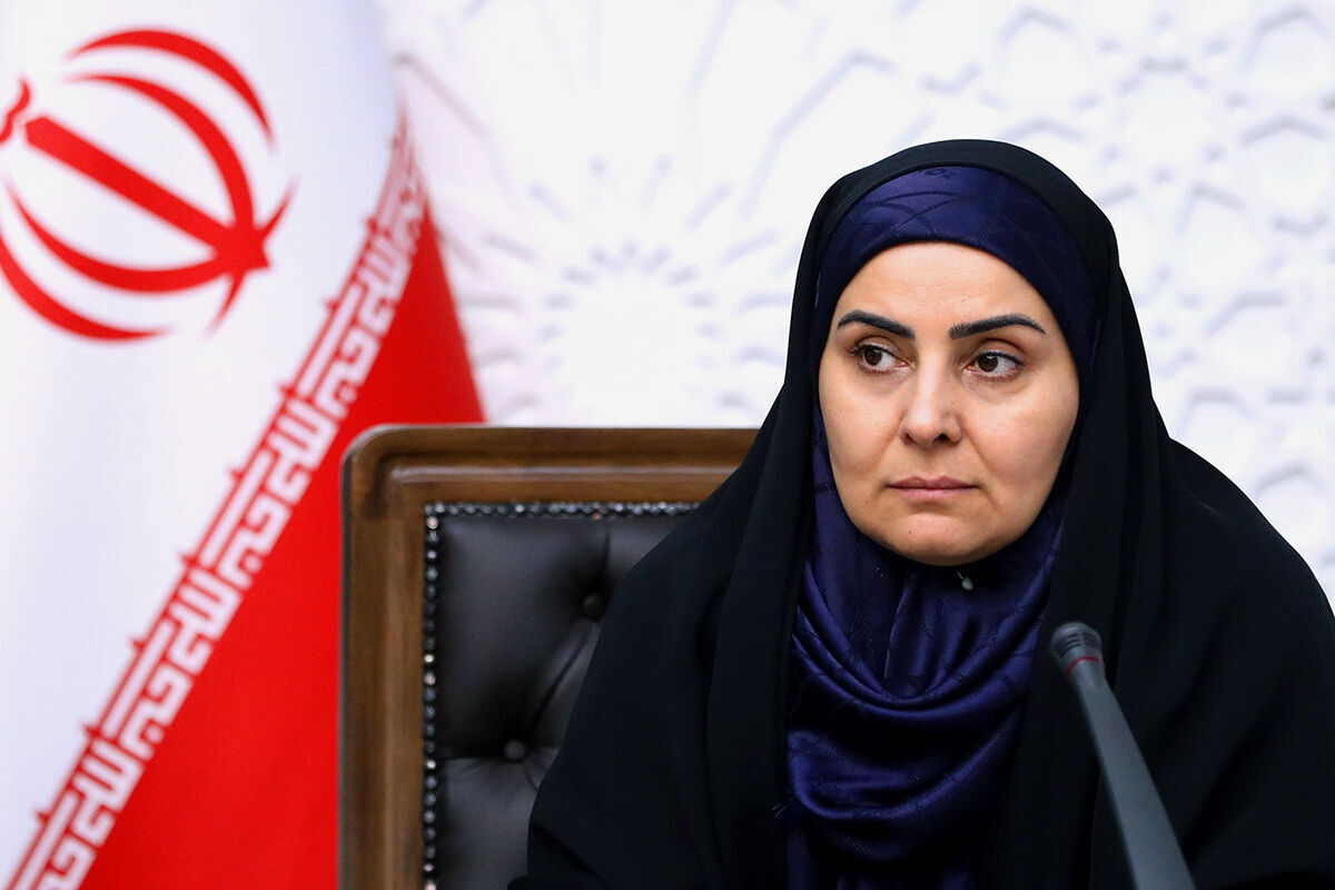تاکید وزیر راه و شهرسازی بر نظارت بر نرخ بلیت هواپیما در ایام اربعین