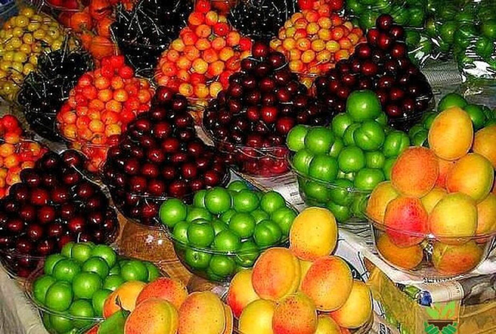 گیلاس و گلابی میوه‌های لوکس‌نشین بازار داخل