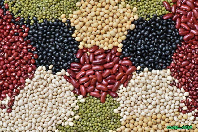 لوبیا چیتی ایرانی و وارداتی ارزان شد/ مصرف کنندگان منتظر کاهش بیشتر قیمتها باشند؟ لوبیا چیتی ایرانی و وارداتی ارزان شد/ مصرف کنندگان منتظر کاهش بیشتر قیمتها باشند؟