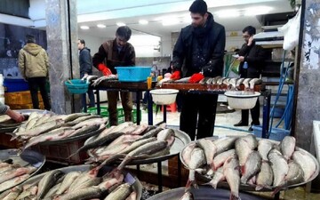 افزایش قیمت ماهی عجیب شد/ این ماهی روزانه ۱۰ هزار تومان گران می‌شود