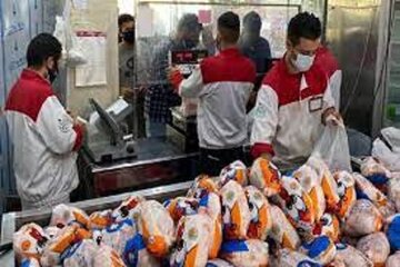 اخطار وزیر جهاد کشاورزی به بازار مرغ/ مرغ را گرانتر از این قیمت نفروشید اخطار وزیر جهاد کشاورزی به بازار مرغ/ مرغ را گرانتر از این قیمت نفروشید